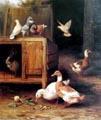 unknow artist Duck and Pigeon oil painting picture
